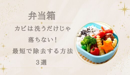 弁当箱のカビは洗うだけじゃ落ちない！最短で除去する方法3選