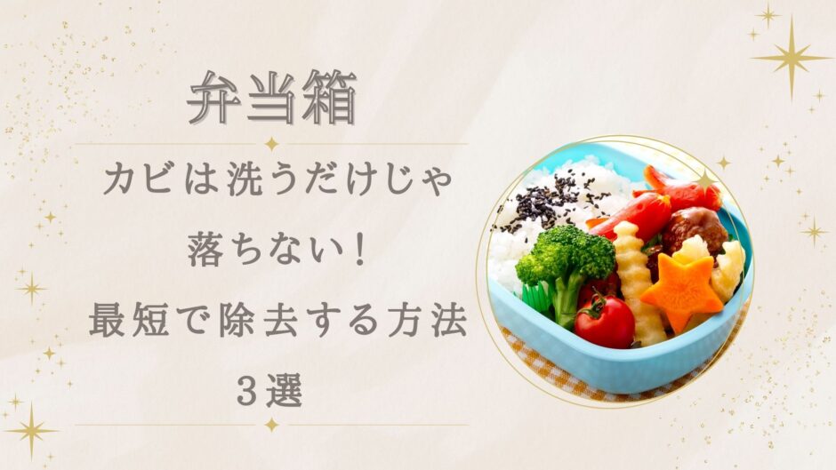 弁当箱のカビは洗うだけじゃ落ちない！最短で除去する方法3選