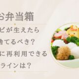 弁当箱にカビが生えたら捨てるべき？安全に再利用できるラインは？