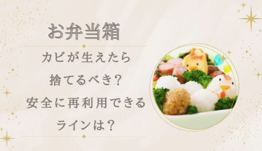 弁当箱にカビが生えたら捨てるべき？安全に再利用できるラインは？