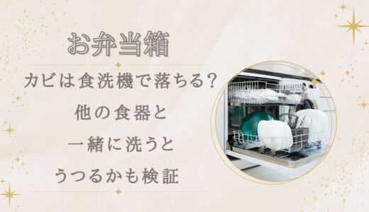 弁当箱のカビは食洗機で落ちる？他の食器と一緒に洗うとうつるかも検証