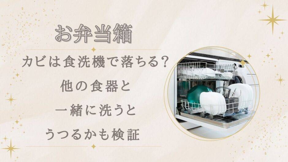 弁当箱のカビは食洗機で落ちる？他の食器と一緒に洗うとうつるかも検証