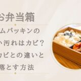 弁当箱ゴムパッキンの白い汚れはカビ？黒カビとの違いと落とす方法