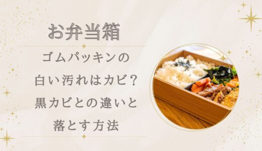 弁当箱ゴムパッキンの白い汚れはカビ？黒カビとの違いと落とす方法