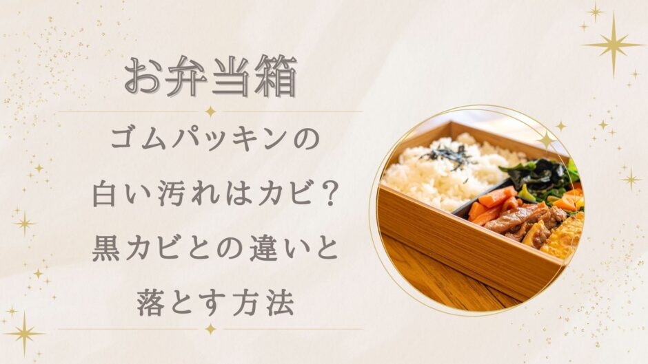 弁当箱ゴムパッキンの白い汚れはカビ？黒カビとの違いと落とす方法