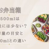 お弁当箱500mlは女性には少ない？容量の目安と600mlとの違い