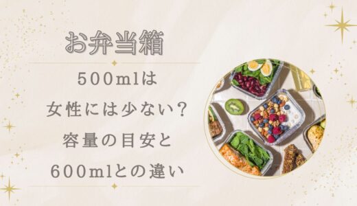 お弁当箱500mlは女性には少ない？容量の目安と600mlとの違い