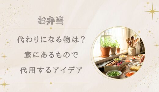 お弁当箱の代わりになるものは？家にあるもので代用するアイデアまとめ