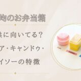 100均のお弁当箱は子供に向いてる?セリア・キャンドゥ・ダイソーの特徴