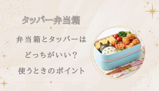 弁当箱とタッパーはどっちがいい？弁当箱代わりに使うときのポイント